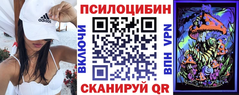 Галлюциногенные грибы Psilocybe  Жиздра 
