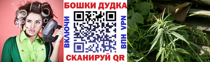Каннабис тримм  MEGA ссылки  Жиздра 